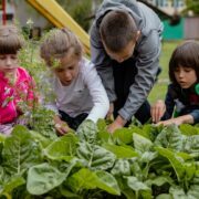Keeping Your Garden Green… In The Sustainable Sense