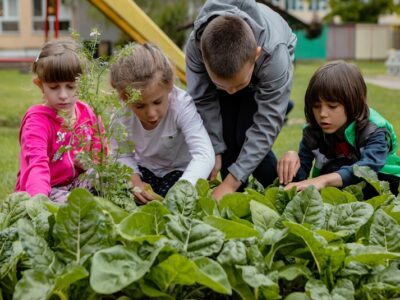 Keeping Your Garden Green… In The Sustainable Sense Keeping Your Garden Green… In The Sustainable Sense