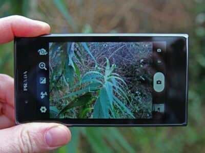 LG Prada Phone Glamorous And Stylish Smartphone